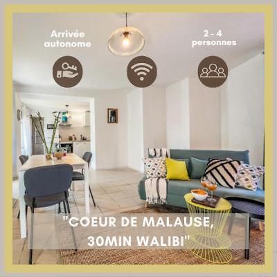 Le Gite 1 - Appartement T2 De 53M2, Ideal Pro Ou Couples, Coeur De Ville Et Proche Golfech Malause Εξωτερικό φωτογραφία